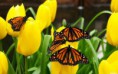 /album/fotogalerie/a180-nature-wallpapers-must-have-170-jpg/
